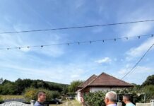 Protecția Animalelor Gorj, două zile la Berlești