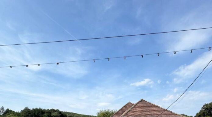 Protecția Animalelor Gorj, două zile la Berlești