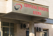 Se anunță schimbarea șefilor din Directoratul CEO