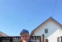 Sterilizarea câinilor, obligatorie