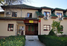 Direcția Silvică încă mai are la vânzare lemne de foc!