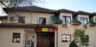 Direcția Silvică încă mai are la vânzare lemne de foc!