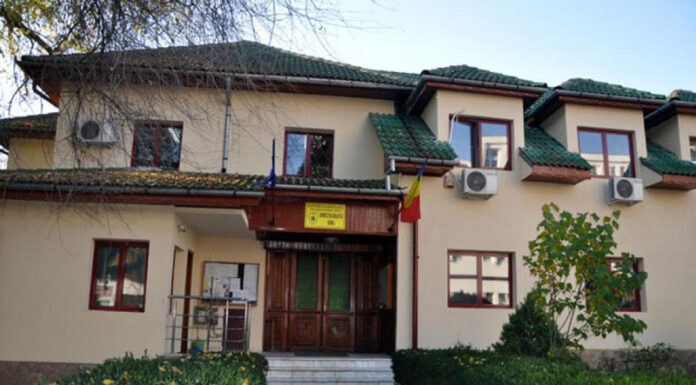 Direcția Silvică încă mai are la vânzare lemne de foc!