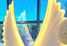 „Pe aripile legii”, o campanie inedită a Poliției