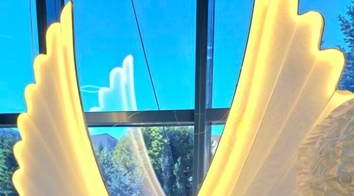 „Pe aripile legii”, o campanie inedită a Poliției