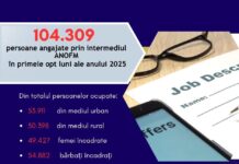 ANOFM: Peste 100.000 de persoane și-au găsit un job