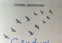 Gânduri…gânduri…