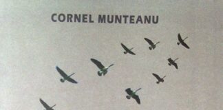 Gânduri…gânduri…