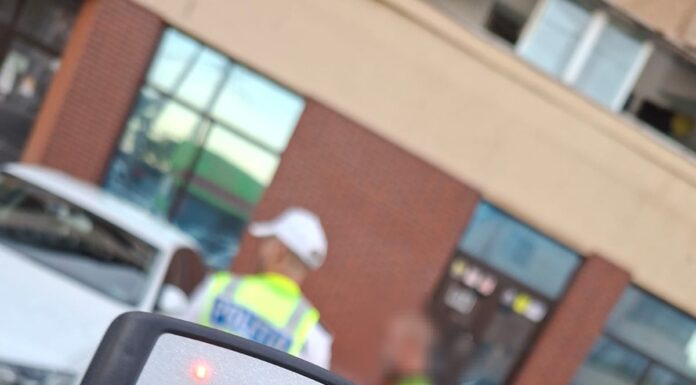 Acțiune de amploare a Poliției în Gorj