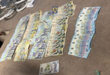 FOTO/ VIDEO: Percheziții în Gorj