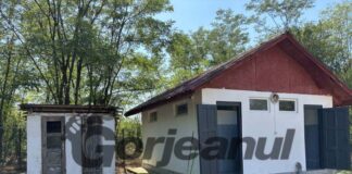 Nu dispar complet toaletele școlare insalubre!