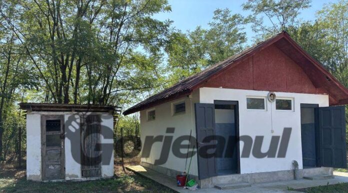 Nu dispar complet toaletele școlare insalubre!