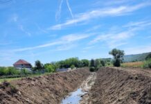 SGA Gorj decolmatează pârâul Jilț