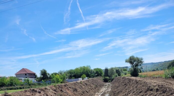 SGA Gorj decolmatează pârâul Jilț