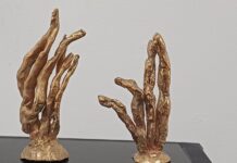 Donație valoroasă din SUA pentru Muzeul ”Constantin Brâncuși”