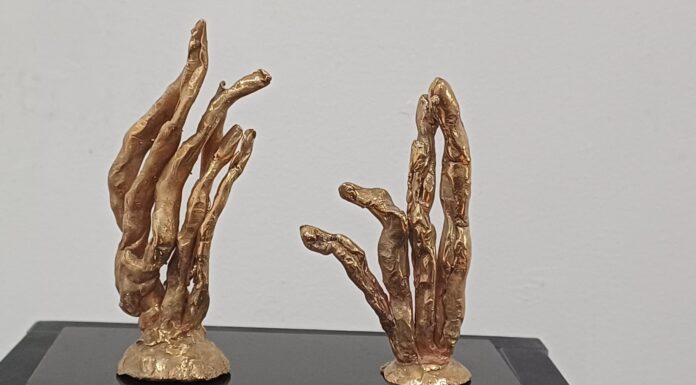 Donație valoroasă din SUA pentru Muzeul ”Constantin Brâncuși”