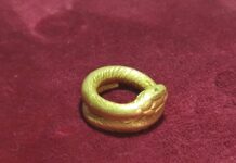 Inel roman din aur, expus în premieră la Muzeul Județean Gorj