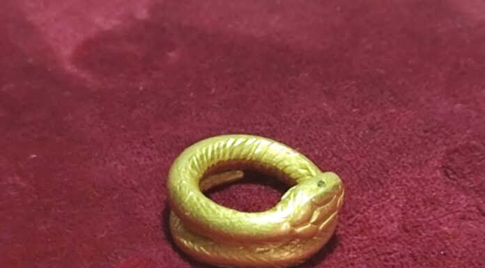 Inel roman din aur, expus în premieră la Muzeul Județean Gorj
