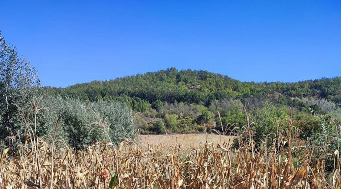 Păziți-vă recoltele pentru a nu fi furate!