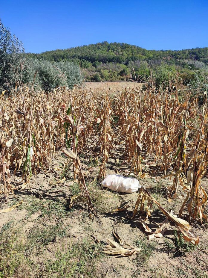 PHOTO-2025-09-23-10-09-52