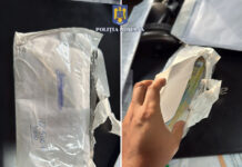 VIDEO: Percheziţii în Gorj și Timiș, într-un dosar de evaziune fiscală