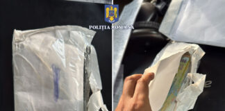 VIDEO: Percheziţii în Gorj și Timiș, într-un dosar de evaziune fiscală