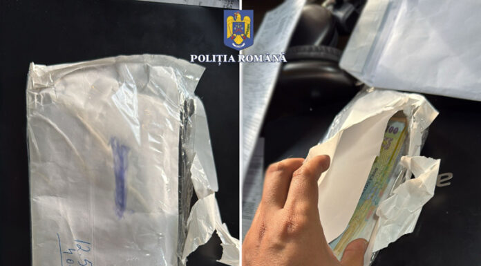 VIDEO: Percheziţii în Gorj și Timiș, într-un dosar de evaziune fiscală