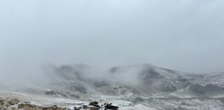 A nins pe Transalpina, spre bucuria turiștilor!