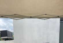 Campanie de sterilizare gratuită a câinilor la Berlești