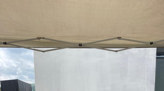 Campanie de sterilizare gratuită a câinilor la Berlești