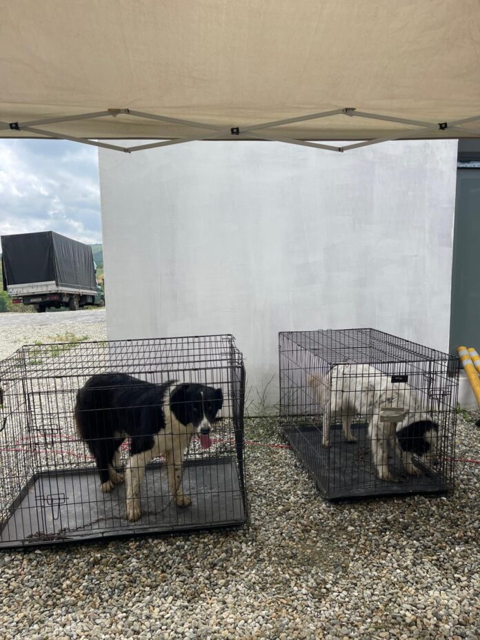 WhatsApp Image 2025-09-03 at 09.07.22