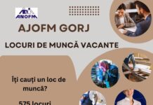 Șanse uriașe de angajare în Gorj: 575 de locuri de muncă disponibile