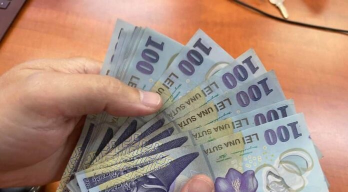 În ce domenii s-a câștigat mai bine anul trecut