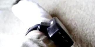 Agresor monitorizat cu brățară electronică