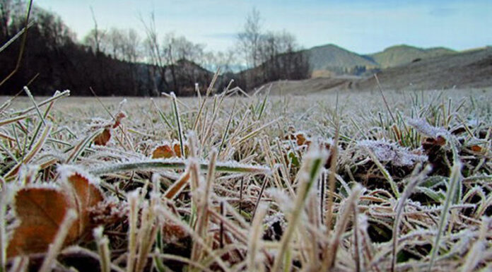 Agricultura pe înțelesul tuturor – PUȚINĂ AGROMETEOROLOGIE