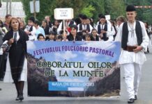 ÎN LUNA LUI RĂPCIUNE – Coboară oile din munții Gorjului