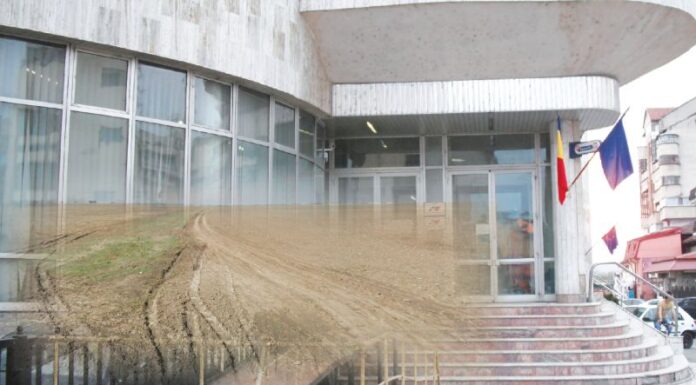 Teren în Târgu Jiu, scos la licitație cu doar 8.485 de lei!