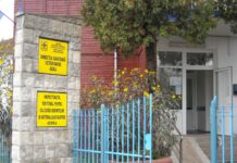 Gorj: Două posturi de medic veterinar, scoase la concurs