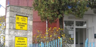 Gorj: Două posturi de medic veterinar, scoase la concurs