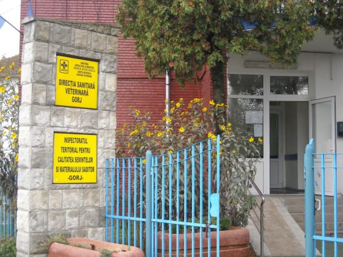 Gorj: Două posturi de medic veterinar, scoase la concurs