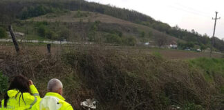 Înregistrările video ale Gărzii de Mediu sunt probe în instanță! De ieri