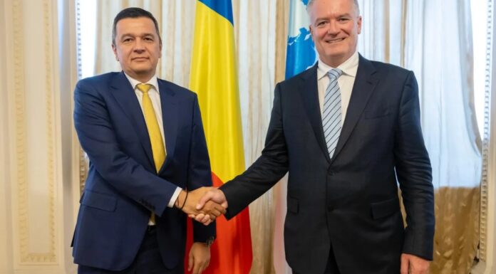 Liderul PSD, undă verde de la OCDE pentru impozitarea progresivă