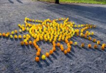 Gulguțe și ateliere atractive la Festivalul Luminii din Târgu Jiu