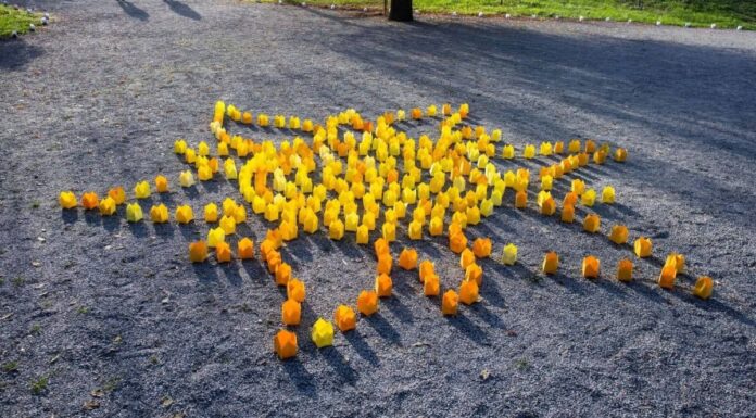 Gulguțe și ateliere atractive la Festivalul Luminii din Târgu Jiu