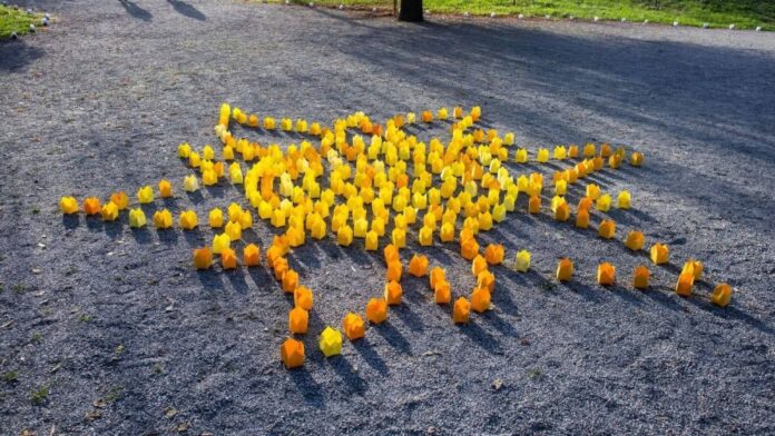 Gulguțe și ateliere atractive la Festivalul Luminii din Târgu Jiu