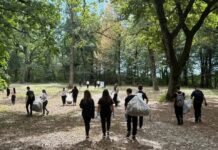 Elevii din Gorj au ieșit la curățenie