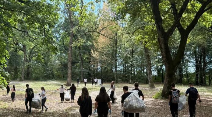 Elevii din Gorj au ieșit la curățenie