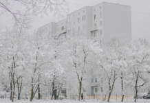 Iarna vine mai devreme