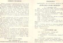 ULTIMA ÎNTÂLNIRE A FIILOR ORAȘULUI ȚICLENI