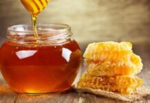 Agricultura pe înțelesul tuturor – APICULTURA, între lege și fărădelege (2)